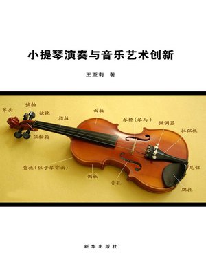 cover image of 小提琴演奏与音乐艺术技巧
